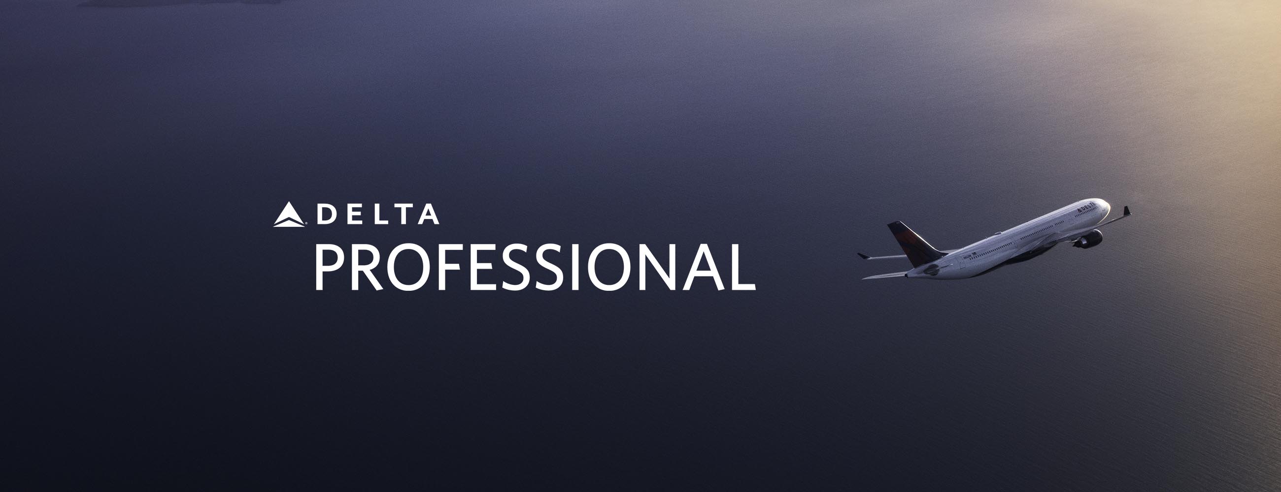 Delta Professional