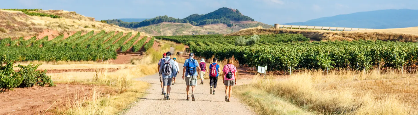 The Benefits of Walking