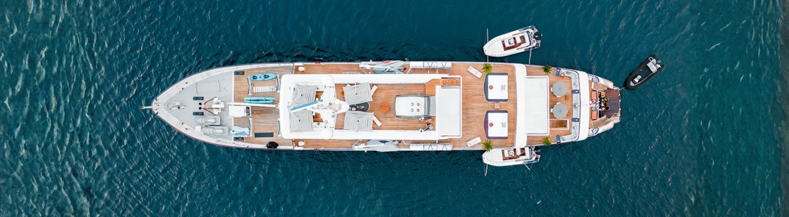 Meet the Fleet 