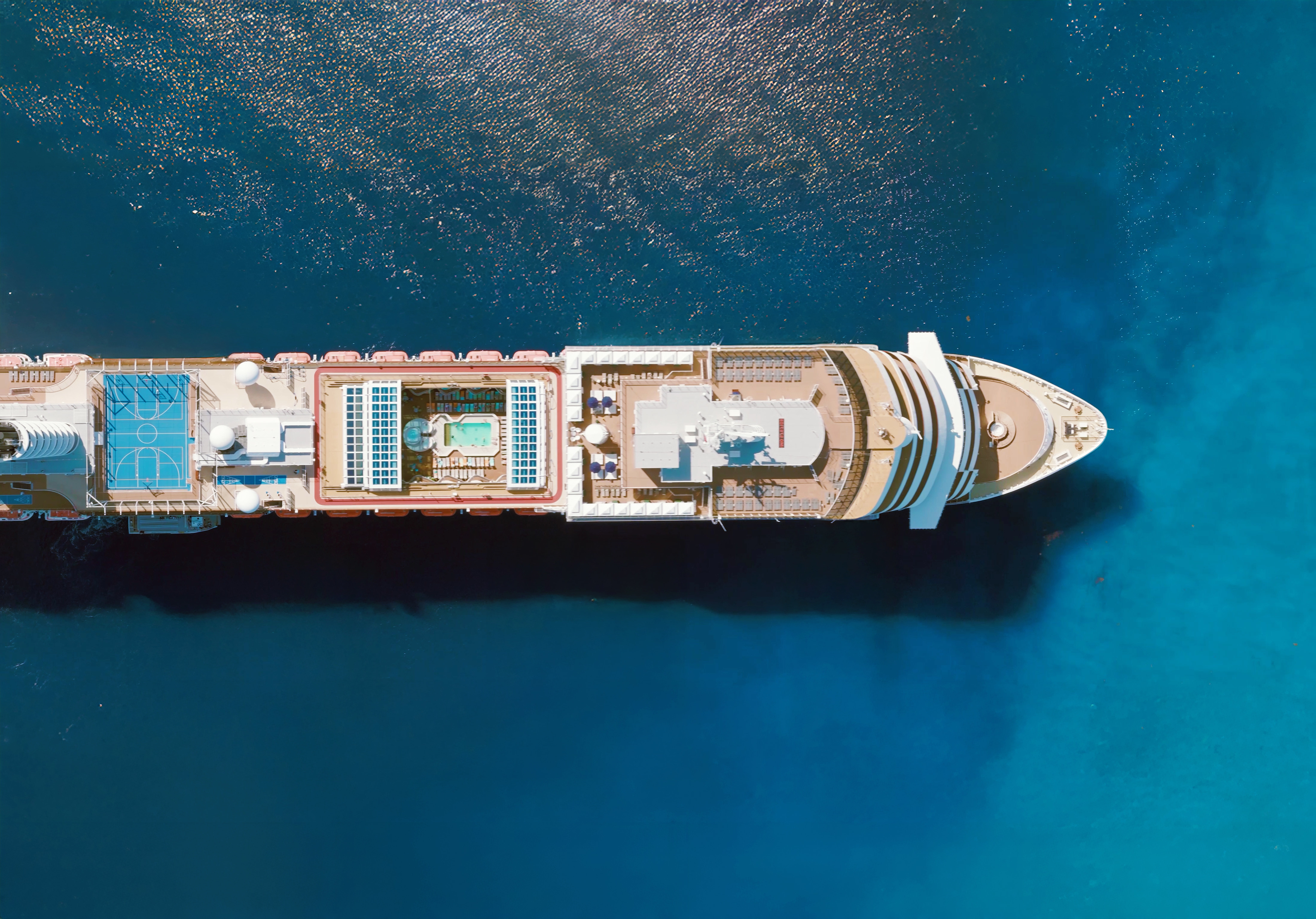 Discover Holland America Line