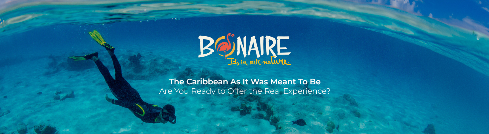 Tourism Corporation Bonaire